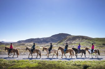 A group of riders enjoy a trek through the Icelandic countryside on hardy Icelandic horses.