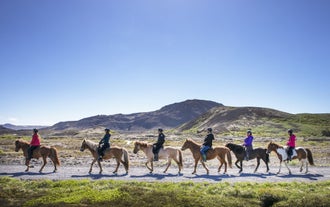 A group of riders enjoy a trek through the Icelandic countryside on hardy Icelandic horses.