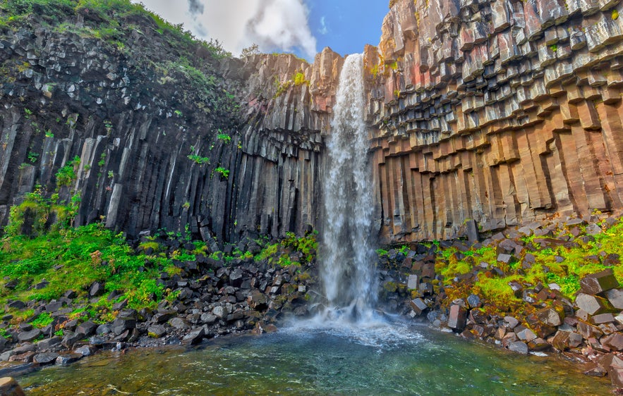  Svartifoss waterfall flowing over black basalt columns in Skaftafell Nature Reserve, Iceland.