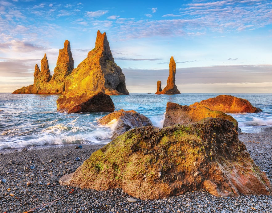 Reynisdrangar sea stacks glowing in sunset light off the black pebble beach near Vik, Iceland.