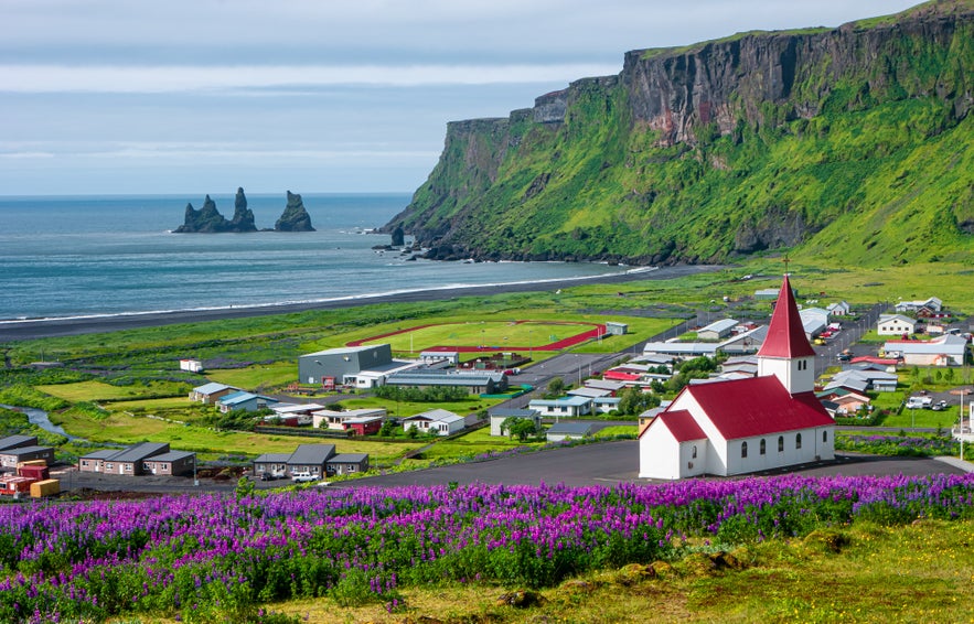 Vik i Myrdal church with lupine flowers and Reynisdrangar sea stacks on Iceland’s South Coast.