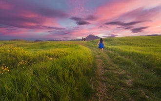 A girl walking toward Budir Black Church under a vivid pink and purple sunset sky.