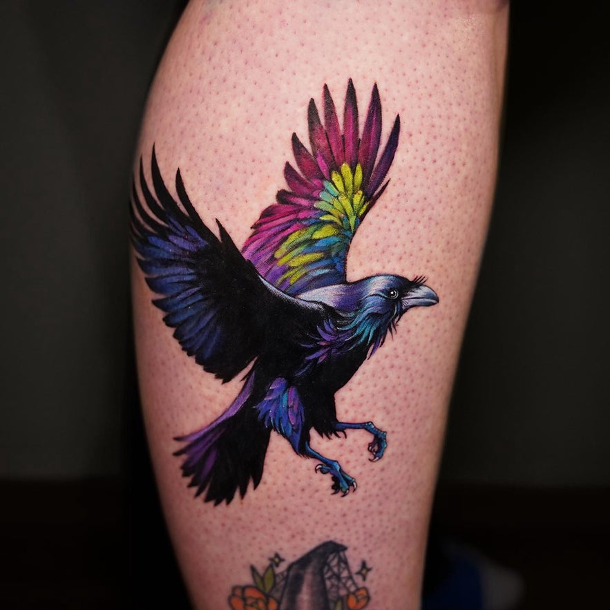 A tattoo of a raven in mid-flight with colorful wings, inked on the back of the leg.