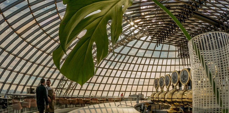 Interior of the Perlan Museum’s rooftop bar in Reykjavik, featuring a modern glass dome ceiling, rows of golden beer taps, and a large green monstera leaf in the foreground.