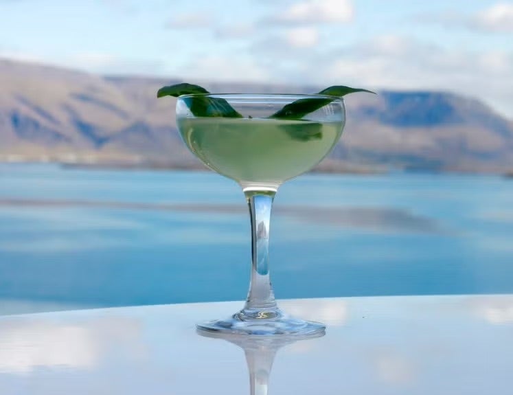 A green cocktail garnished with two leaves, served in a coupe glass on a reflective table, with a scenic backdrop of Faxaflói Bay and Mount Esja under a partly cloudy sky in Reykjavik.