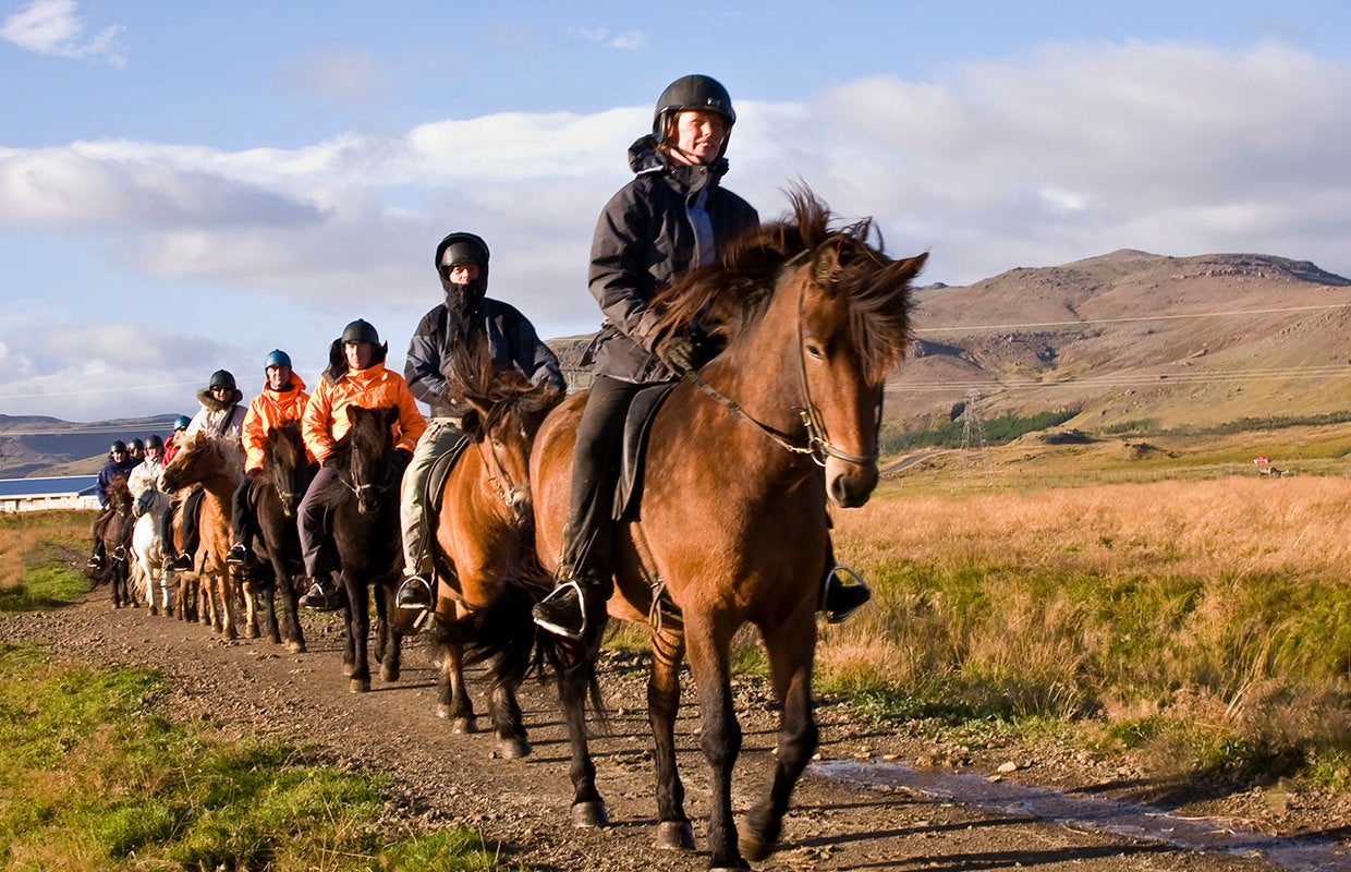 A row of horse riders explore Iceland's nature.