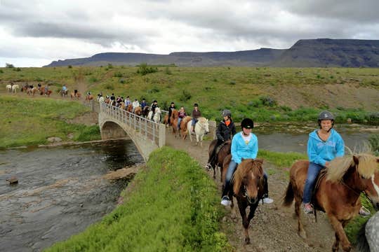 Silfra Snorkeling & Horseback Riding | Free Underwater Photos