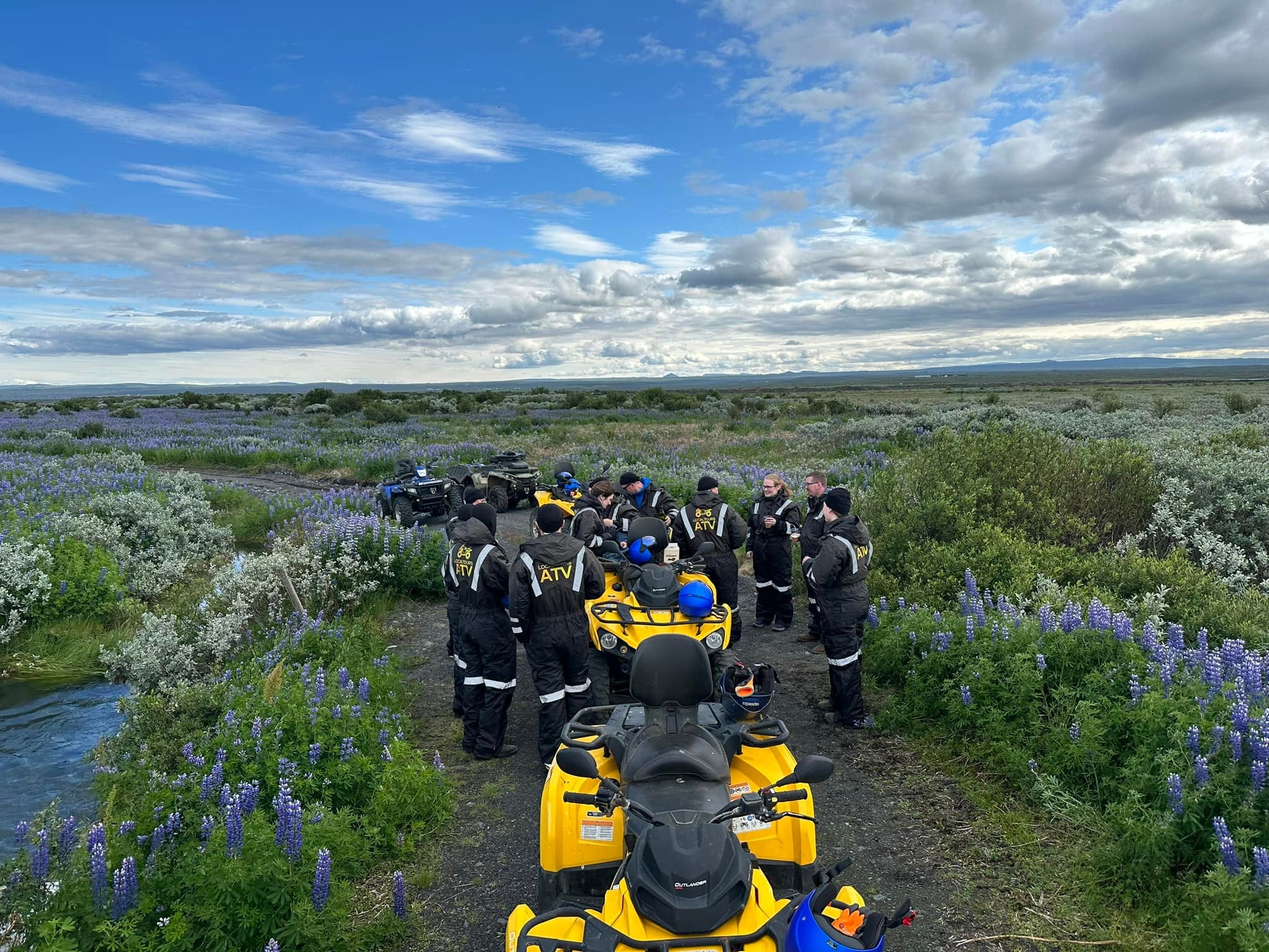 A guided ATV tour in Northeast Iceland through a scenic area with a river and vast fields of lupines.