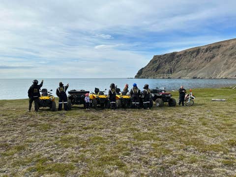 Small-Group Northeast Iceland ATV Tour from Asbyrgi with Wildlife Encounters