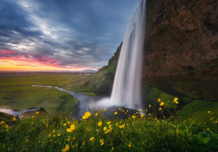 Seljalandsfoss waterfall plunges over cliffs with yellow flowers and a sunset sky in Iceland.