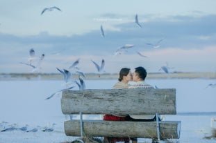 A couple shares a loving moment on a park bench in a Reykjavik park with seagulls flying around.