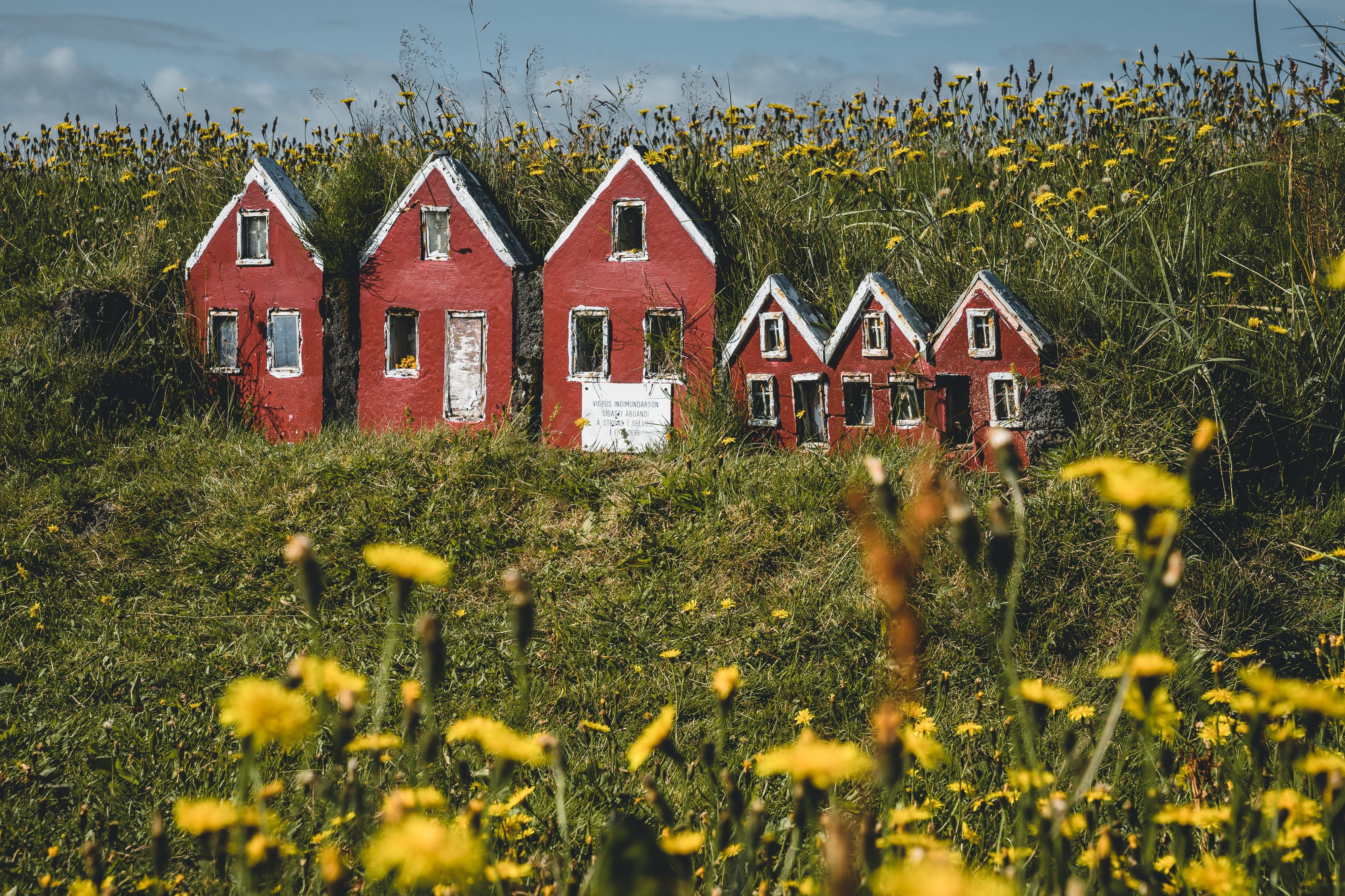 Row of small red elf houses nestled in grassy terrain surrounded by yellow wildflowers, representing Icelandic folklore and belief in hidden people.