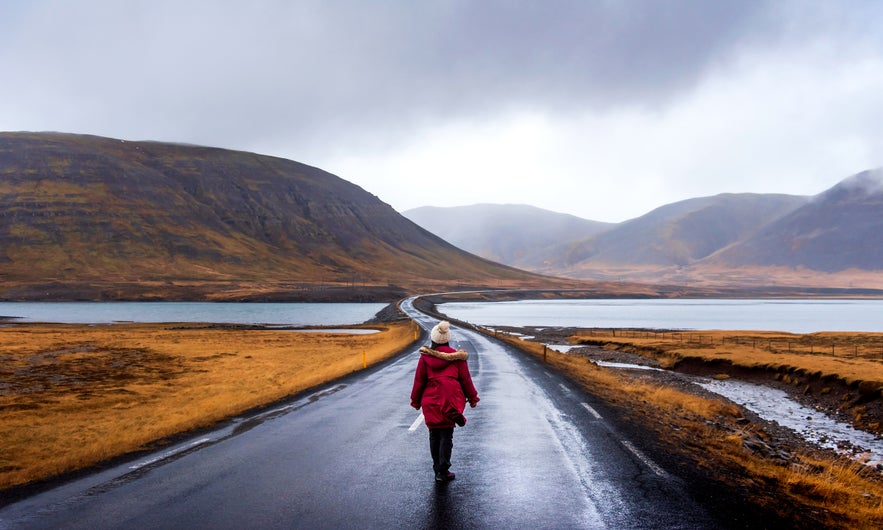Traveler in a red coat walking along a wet road on the Snaefellsnes Peninsula, Iceland, flanked by golden mossy fields, calm waters, and mist-covered mountains.