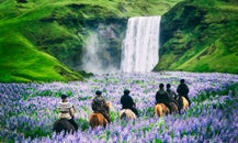 horse riding by skógafoss (1).jpg