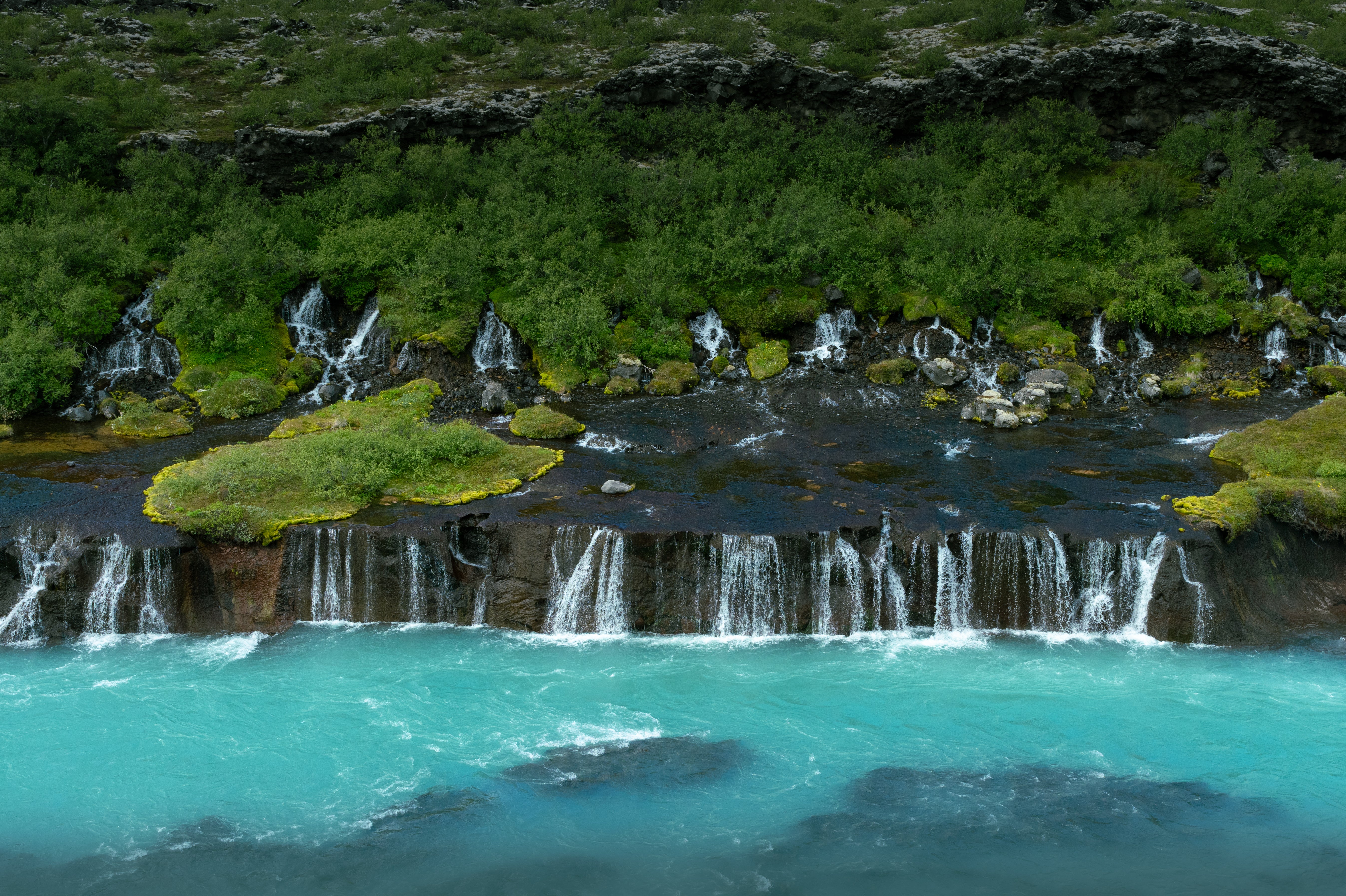 Streams of Hraunfossar pouring through lava rock into Hvita River on the Silver Circle route.