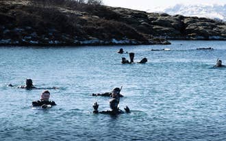 Snorkeldykkere i Island, der flyder i Silfras klare blå vand omgivet af vulkanske klippevægge.