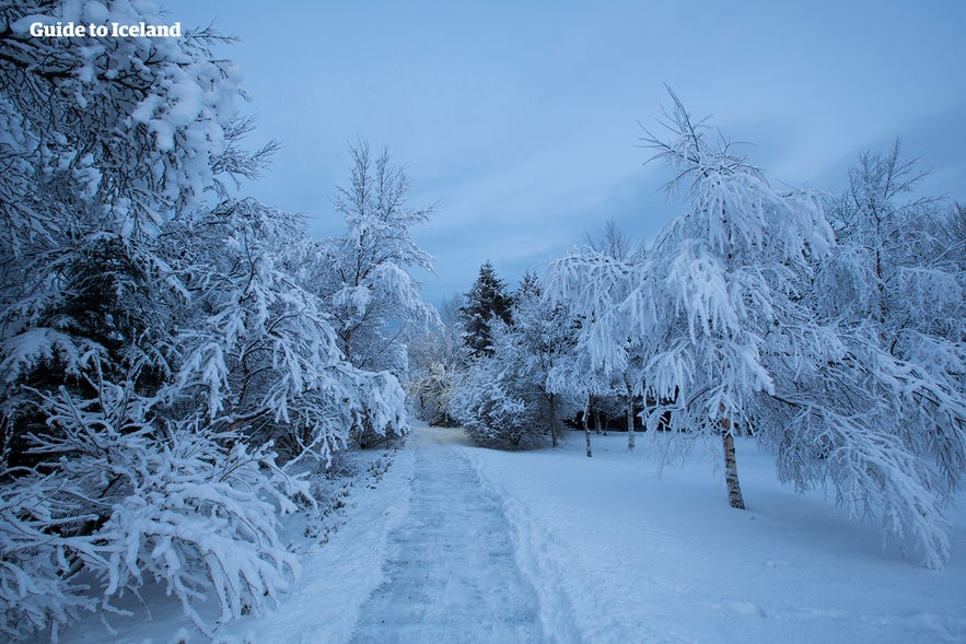 Laugardalur Park in Reykjavik in winter.