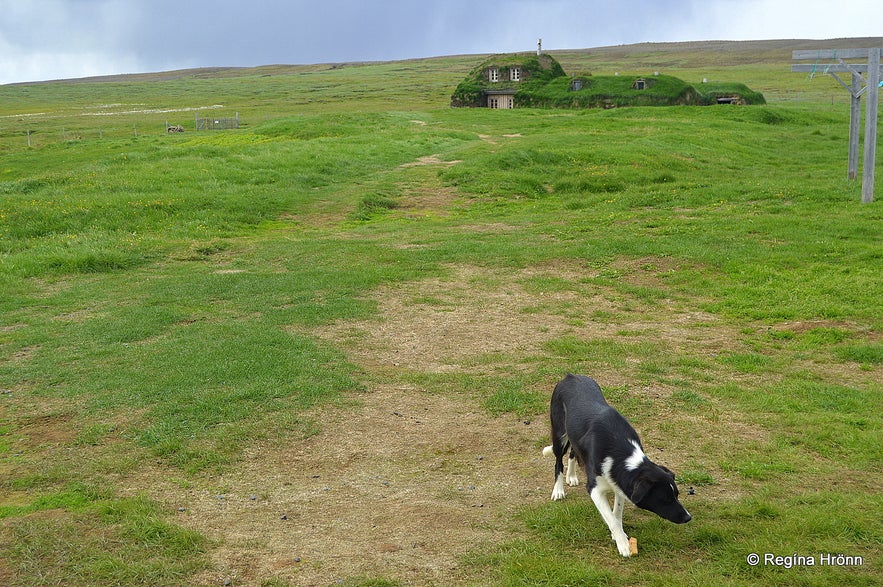 Sænautasel Turf House in the Highland of Iceland