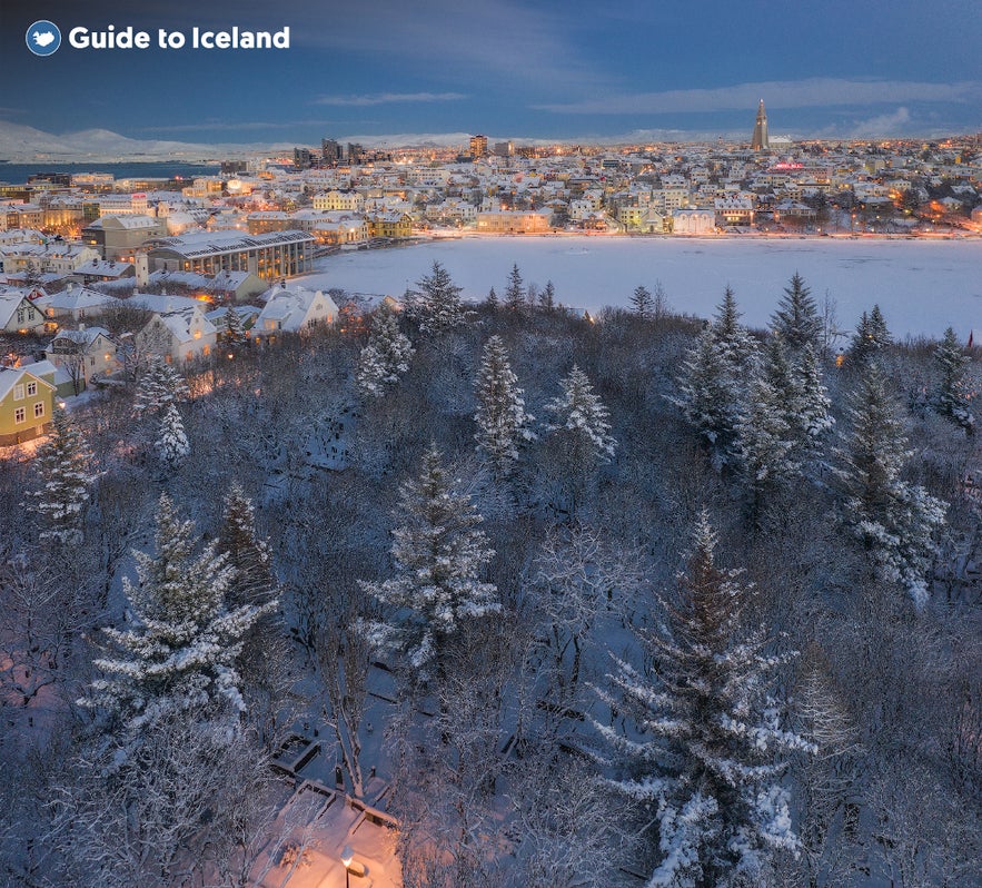 Reykjavik city center and snowy trees on the outskirts of the city in winter.