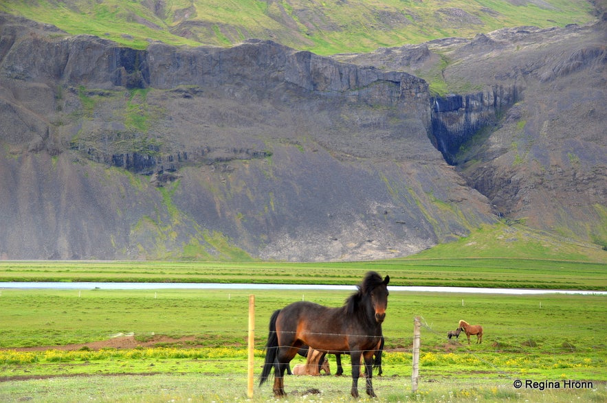 Grettir the Strong and Grettisbæli Lair in Hítardalur Valley in West Iceland