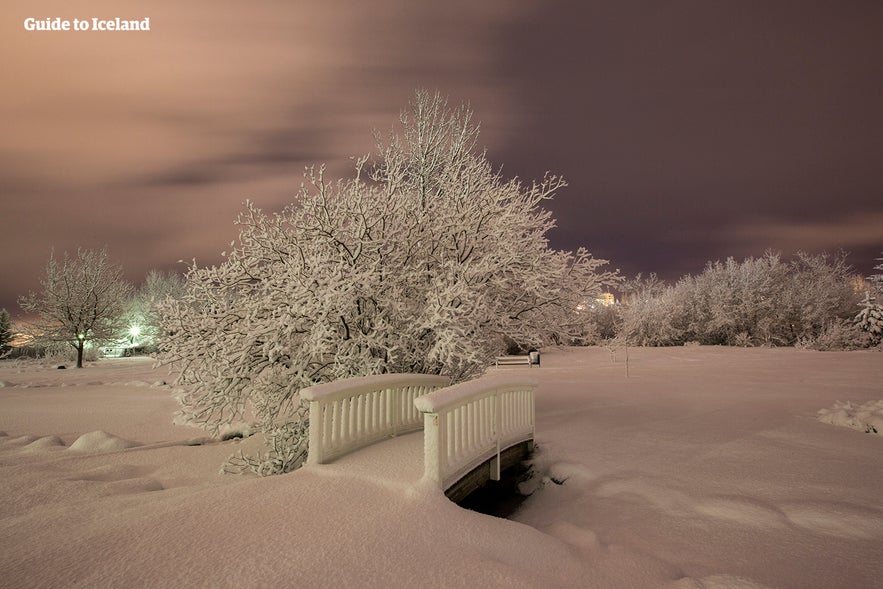 Laugardalur Park in Reykjavik in winter.