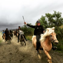 一名骑手举起手臂，带领旅游团骑着冰岛马前行。