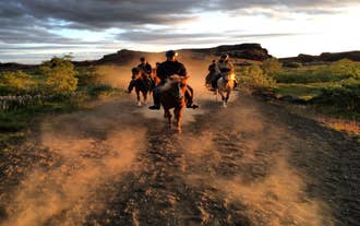 Una excursión en grupo reducido monta caballos islandeses por un camino levantando el polvo en Islandia.