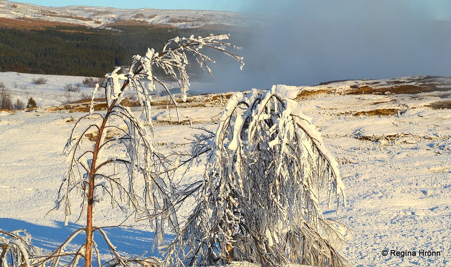 The Golden Circle in Iceland looks quite magical in the Wintertime