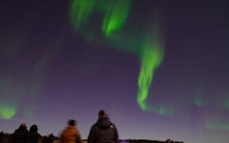 Travelers enjoying the northern lights outside Reykjavik.