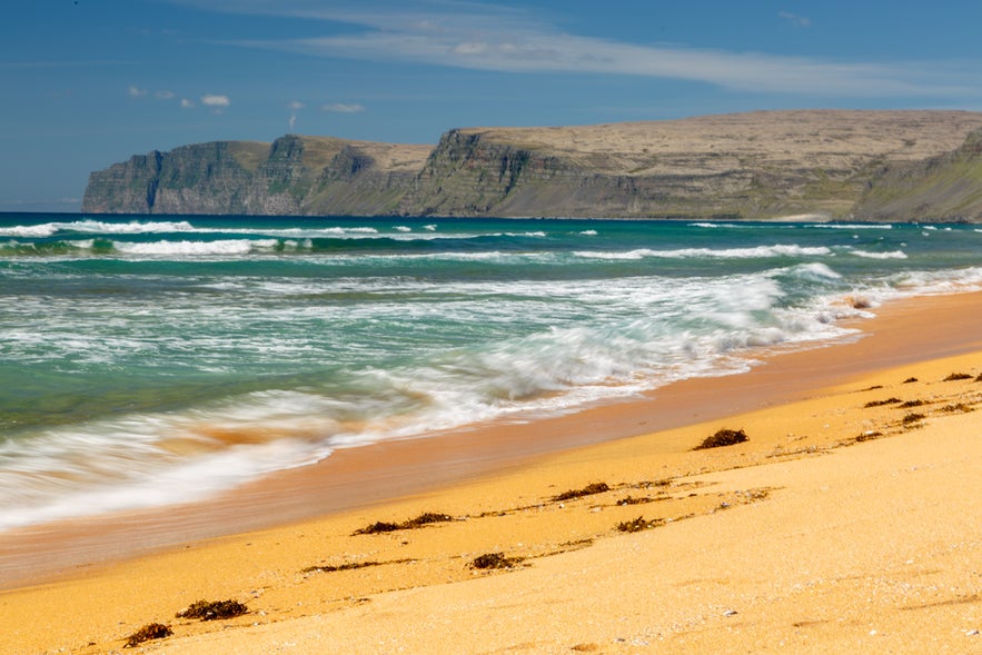 Waves crashing on the golden sands of Rauðisandur Beach with cliffs in the Westfjords of Iceland.