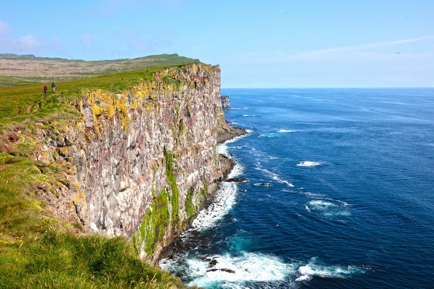 Látrabjarg sea cliffs with ocean view in Iceland.