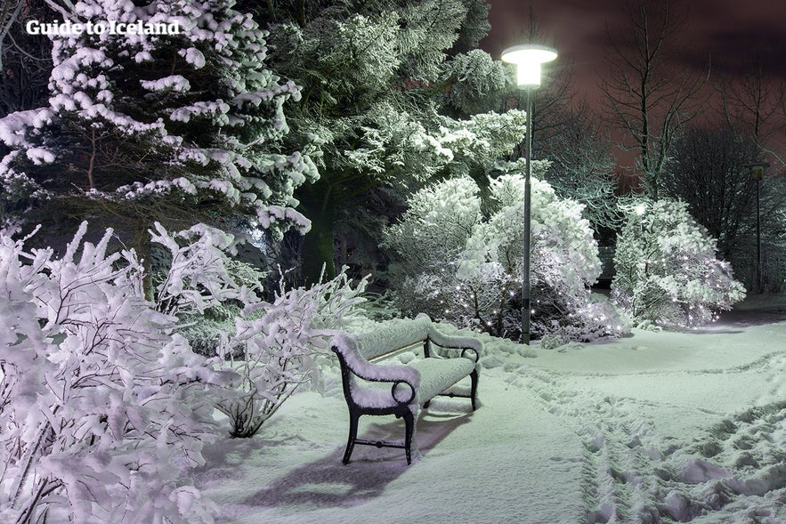 Laugardalur park in winter snow