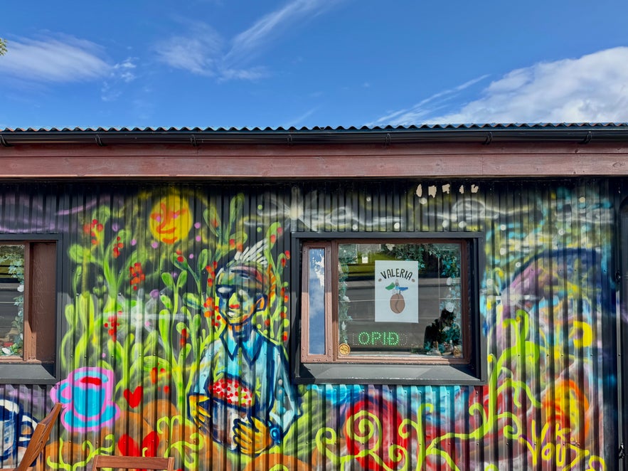 Colorful mural outside of Valeria Coffee, with painted plants and a figure holding red berries.