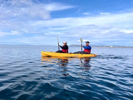 Kajaktocht van 2 Uur op Zee in de Breidafjordur-baai met Transfer van het Schiereiland Snaefellsnes