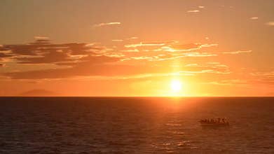Amazing 2-Hour Small-Group Whale Watching Tour Under the Midnight Sun in RIB Boat