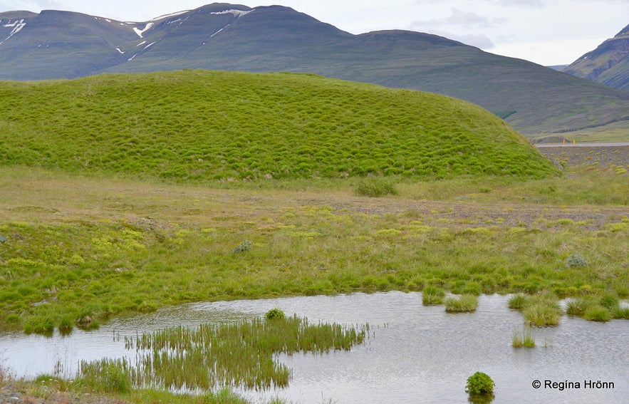 The Ghost Skeljungur and Bóla in Bólugil - Folklore from North Iceland