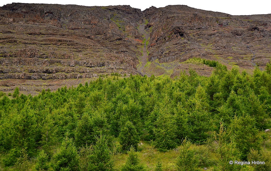 The Ghost Skeljungur and Bóla in Bólugil - Folklore from North Iceland