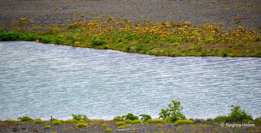 The Ghost Skeljungur and Bóla in Bólugil - Folklore from North Iceland