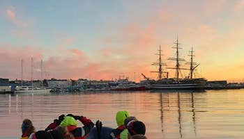 Spændende to-timers søpapegøje- og hvalsafari i en RIB-båd fra Reykjavik 