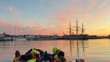 De haven van Reykjavik is bijzonder mooi vanuit een RIB-boot.