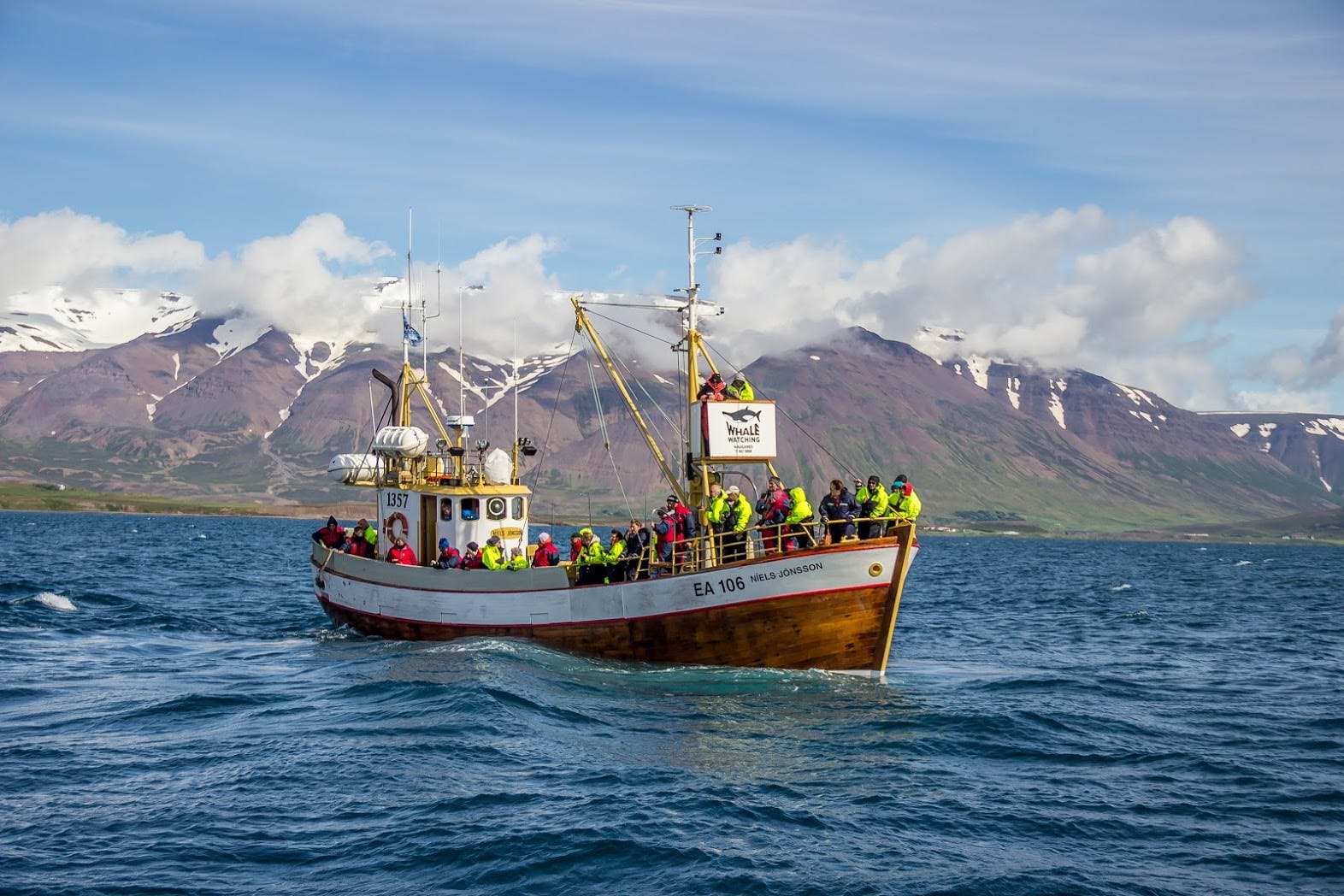 Walvissafari met een eikenhouten boot in Husavik, IJsland