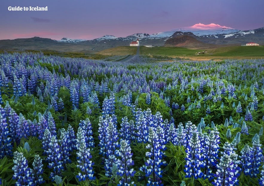 The Snaefellsnes Peninsula has many incredible features.