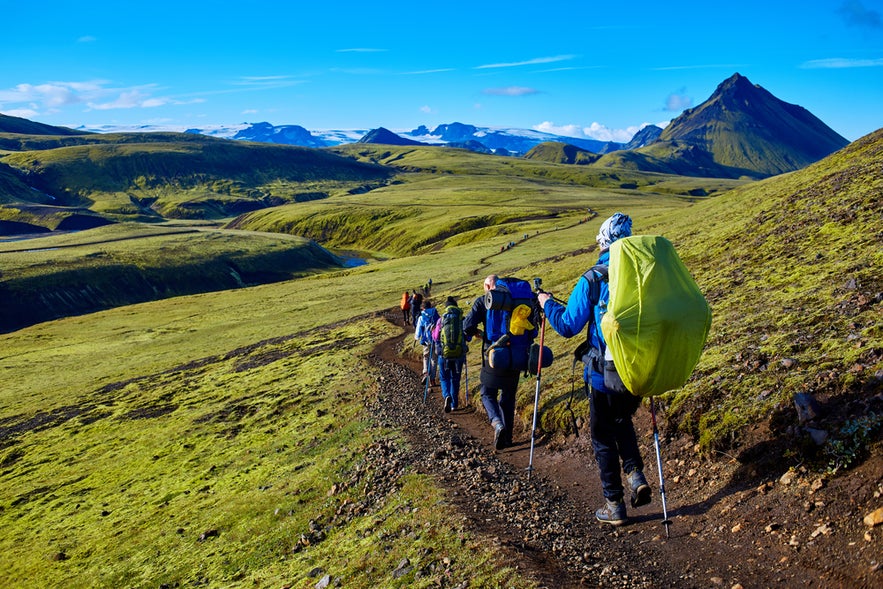 Hikers walking along a scenic mountain trail in Iceland in July, surrounded by green valleys, volcanic peaks, and clear summer skies.