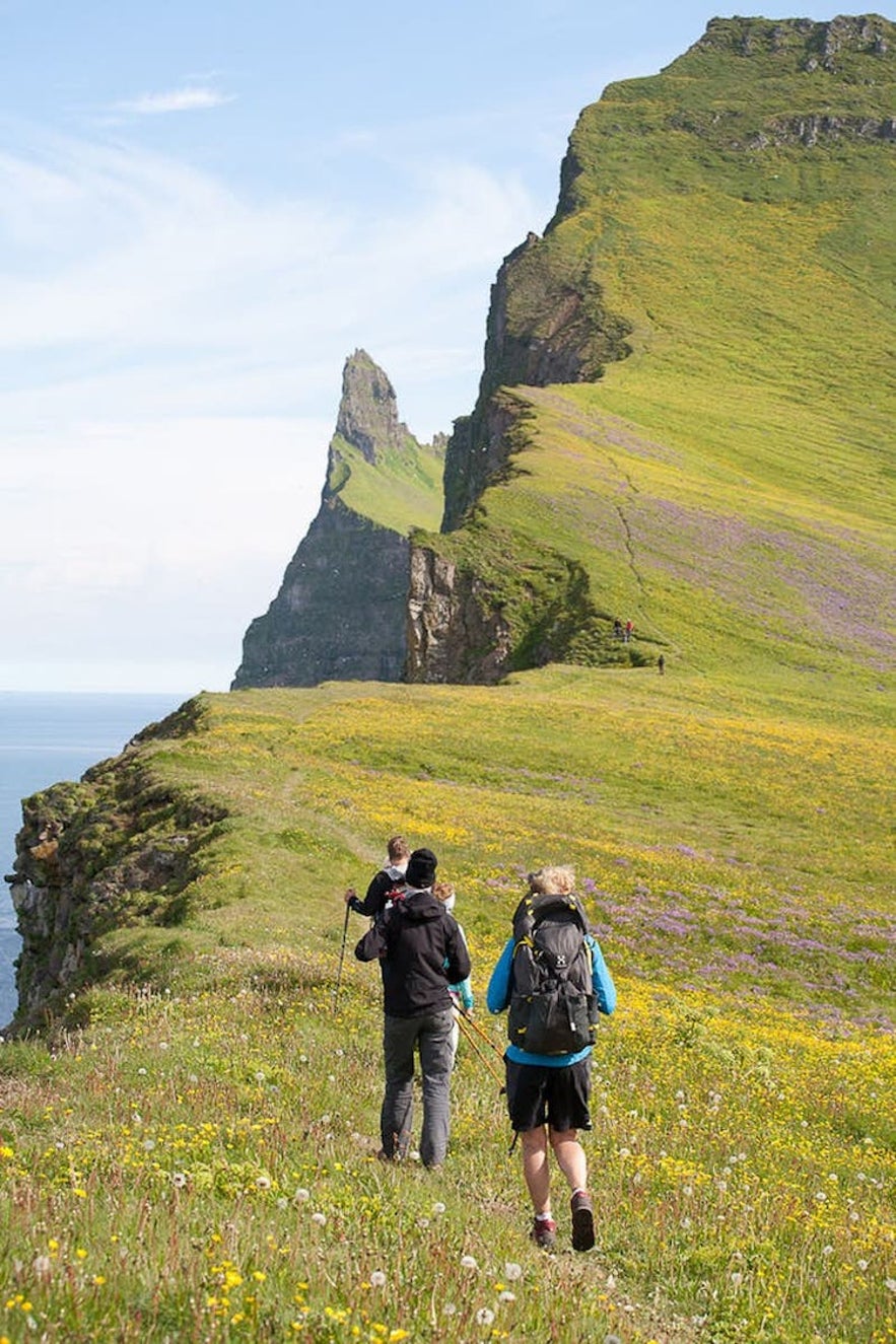 Hornstrandir er en flott region for fotturer