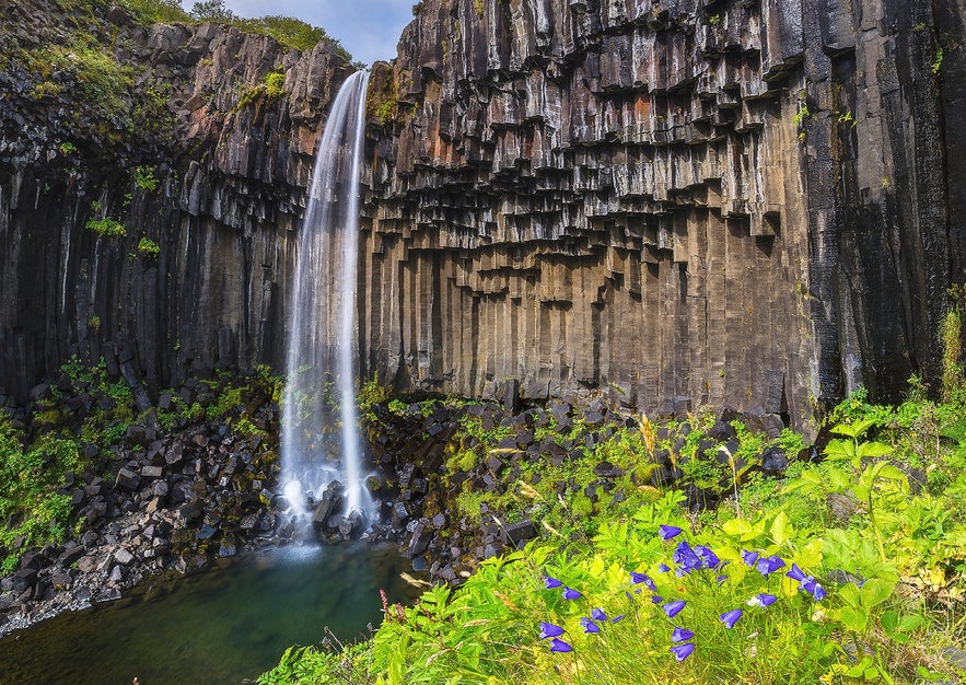 Svartifoss waterfall in Skaftafell Nature Reserve, Iceland