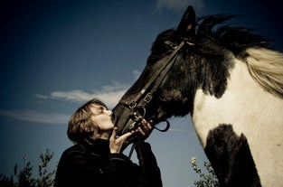 Woman kissing a black-and-white Icelandic horse on the nose.