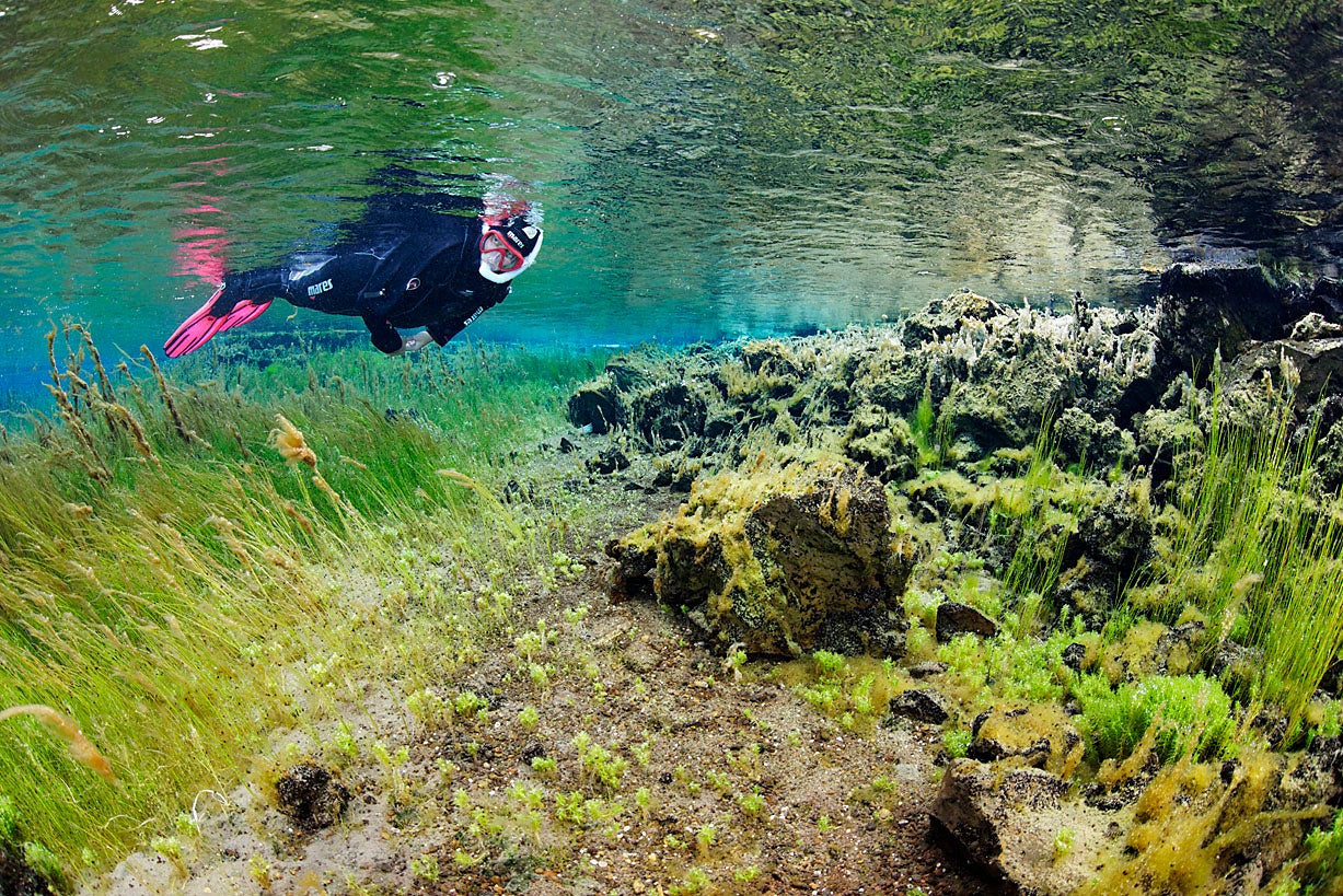 Snorkeler exploring bubbling sands and algae fields in Litlaa River, unique North Iceland tour.