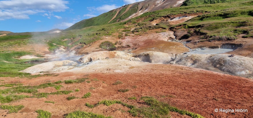 The colourful Þeistareykir Geothermal Area in North Iceland