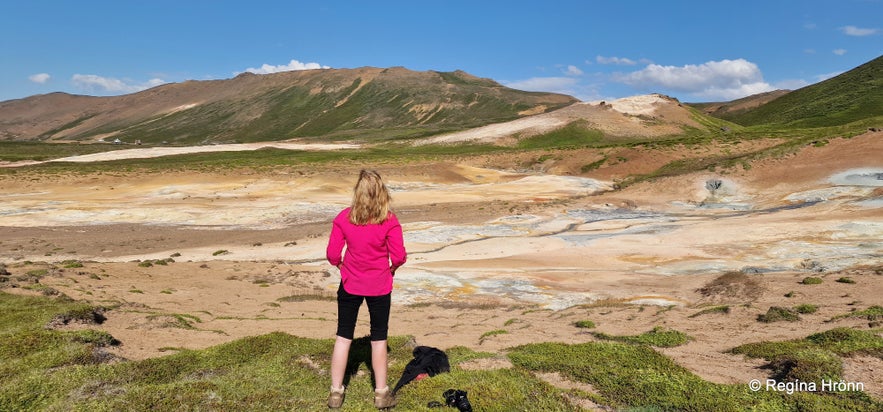 The colourful Þeistareykir Geothermal Area in North Iceland