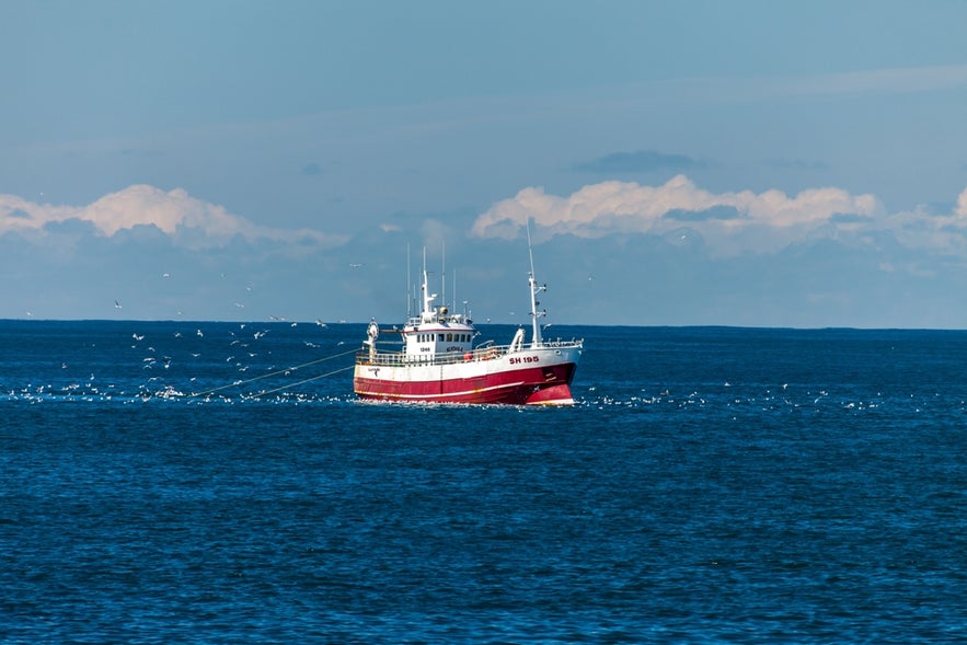 Icelandic seine boat fishing in the scenic Breidafjordur fjord on Iceland’s west coast.